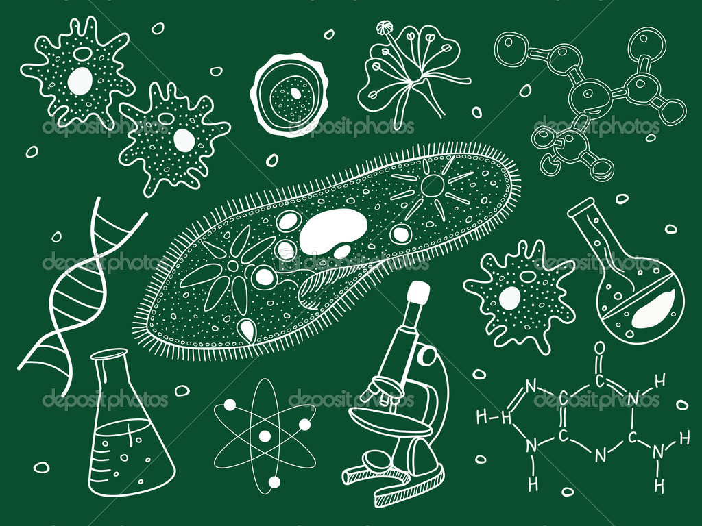 Nature：科学家找到杀死抗药细菌的新靶点