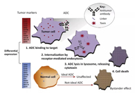 浅析：ADC药物的抗癌之路