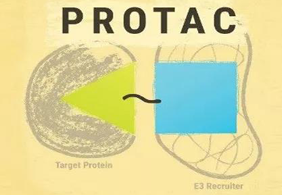 热点前沿:PROTAC初露锋芒，SD-36对抗肿瘤效果卓越