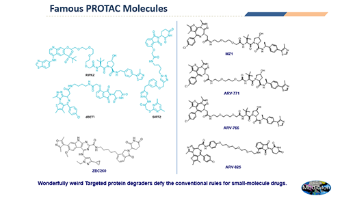 PROTAC研究