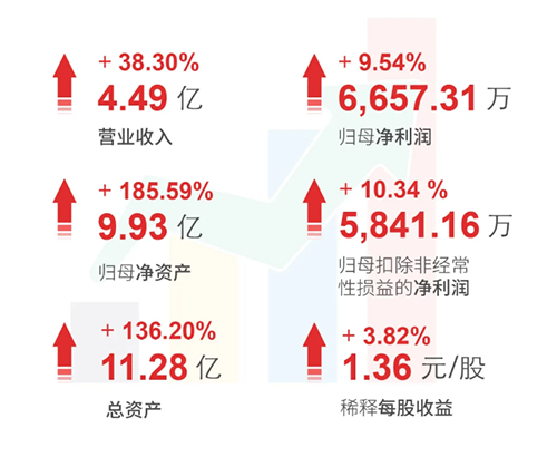 人生就是博 财务亮点