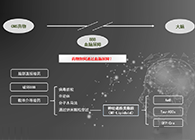 人工合成NT类脂质开放血脑屏障，为CNS药物打开新局面