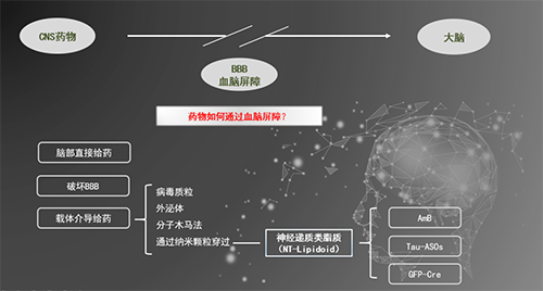 人工合成NT类脂质开放血脑屏障，为CNS药物打开新局面