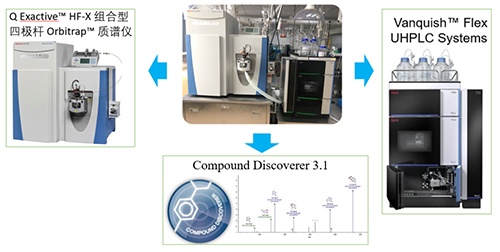 人生就是博UHPLC-UV-QE HF-X系统