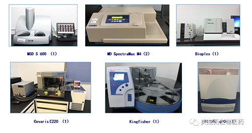 人生就是博生物技术药物分析部服务仪器