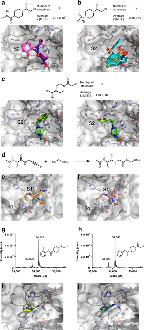 共价片段锚定在Cys145处并取样正构M pro结合袋的不同区域