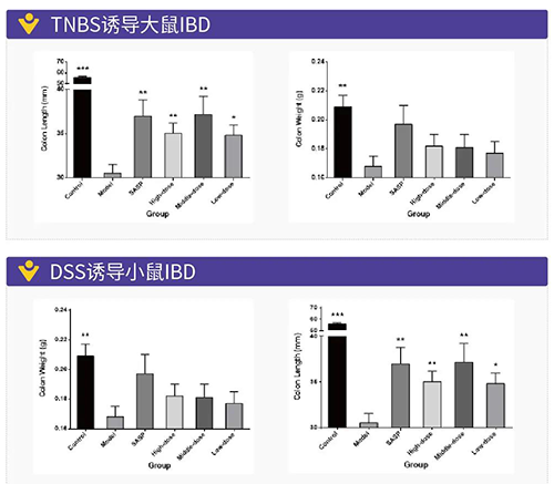 TNBS诱导的大鼠IBD、DSS诱导的大鼠IBD