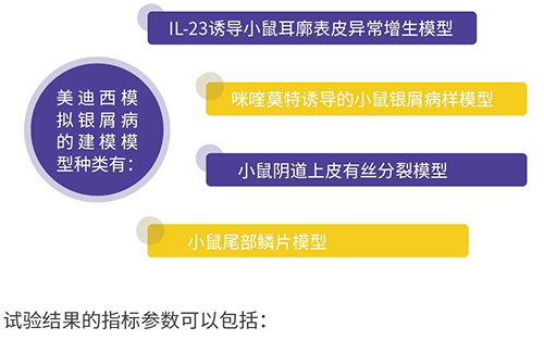 人生就是博模拟银屑病的建模模型种类