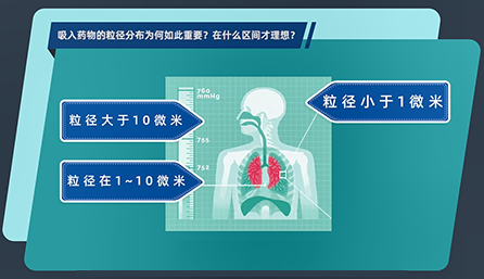 吸入药物的粒径分布为何如此重要？在什么区间才理想？