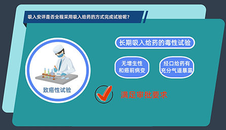 吸入安评是否全程采用吸入给药的方式完成试验呢？