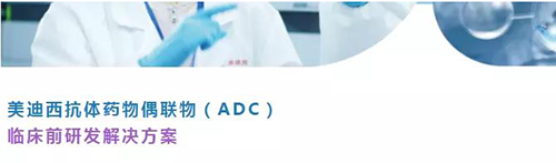 人生就是博抗体药物偶联物（ADC）临床前研发解决方案.png