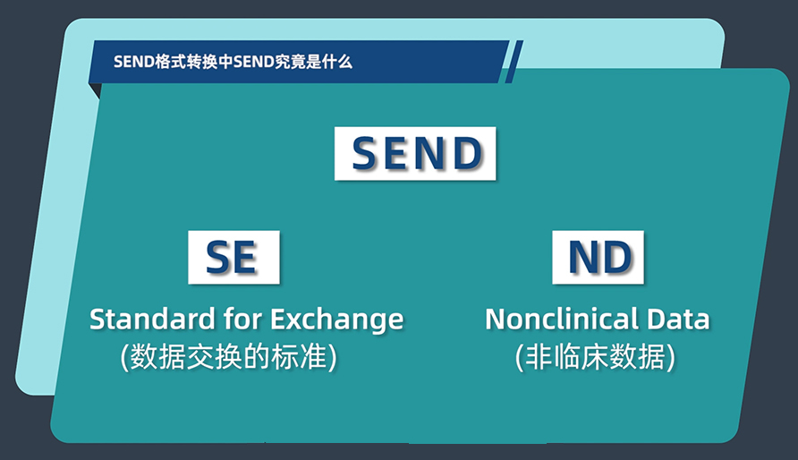 SEND格式转换中的SEND究竟是什么？