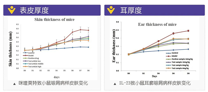 人生就是博模拟银屑病的建模模型-试验结果的指标.png