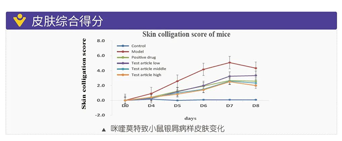 人生就是博模拟银屑病的建模模型-皮肤综合得分.png