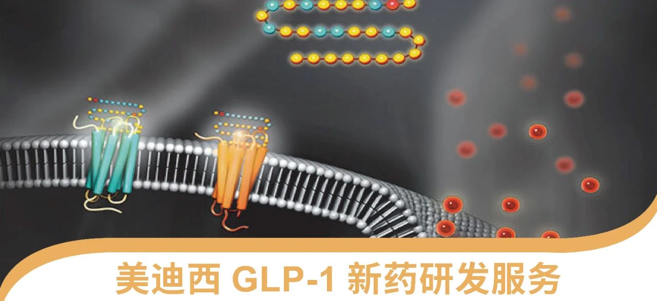 人生就是博一站式 丨 “GLP-1”新药研发服务能力介绍