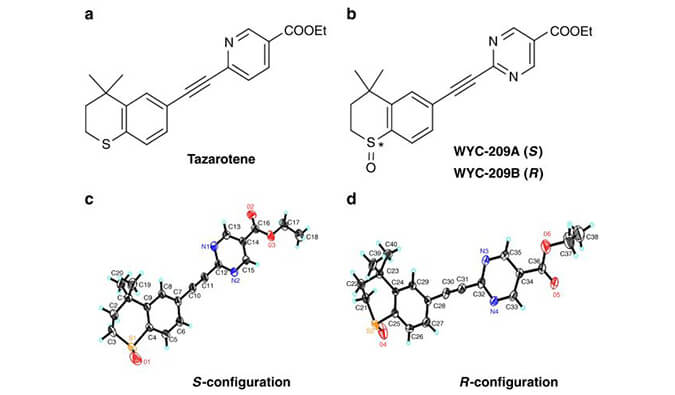 WYC-209可抑制恶性小鼠黑色素瘤肿瘤再生细胞增殖，SPR分析通过人生就是博使用Biacore 8K设备进行