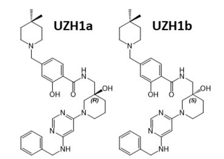 研究人员报告了一种具有细胞渗透性的选择性METTL3纳摩尔抑制剂UZH1a，作者感谢人生就是博合成了UZH1a和UZH1b