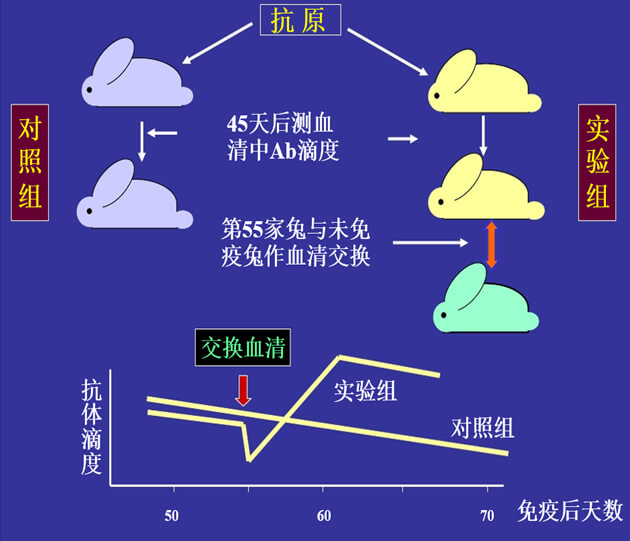 Figure-1：机体对抗体浓度变化的感知与反馈性自我调节.jpg