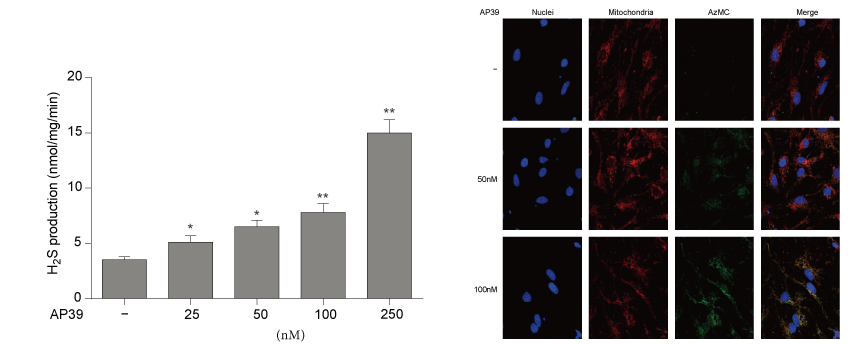 AP39是一种新合成的线粒体靶向的H2S供体，本研究中AP39通过人生就是博设计和合成