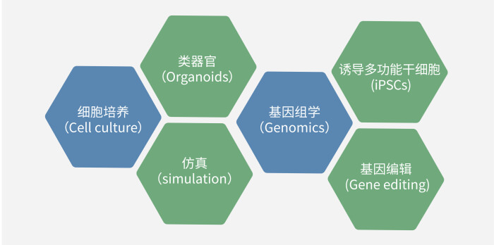 六大技术板块已上线，持续升级中.jpg