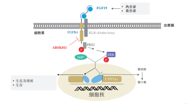 图源：公开资料.jpg