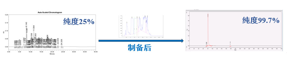 案例一：仿制药发补：大极性杂质制备.jpg