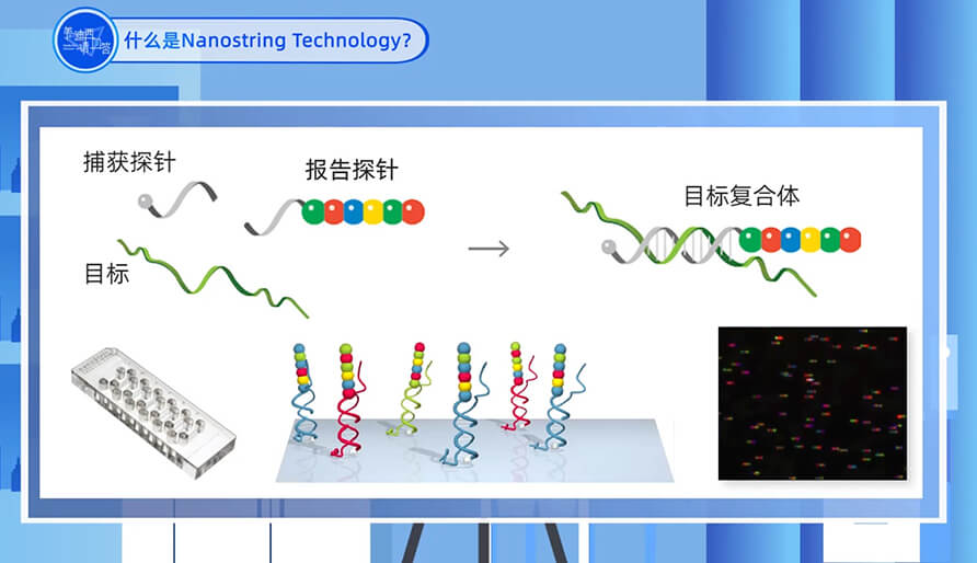 什么是Nanostring 技术？