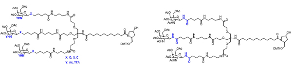 N-乙酰半乳糖胺(GalNAc)-合成-2.jpg