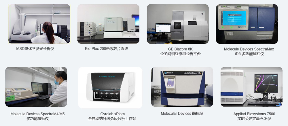 大动物药效实验分析设备.jpg